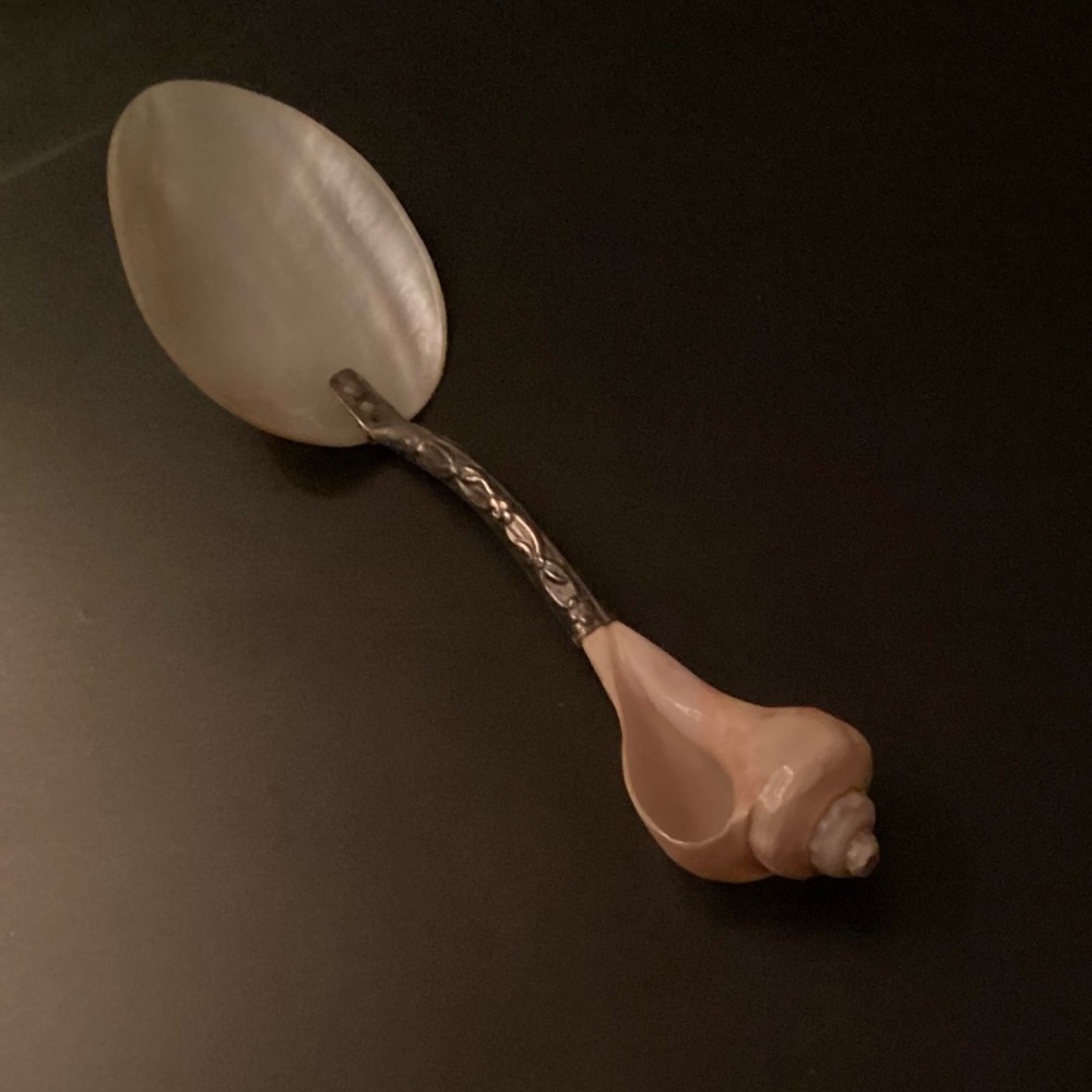Elegant Silver & Shell Serving Spoon